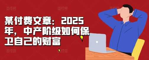 某付费文章：2025年，中产阶级如何保卫自己的财富-乐优网创