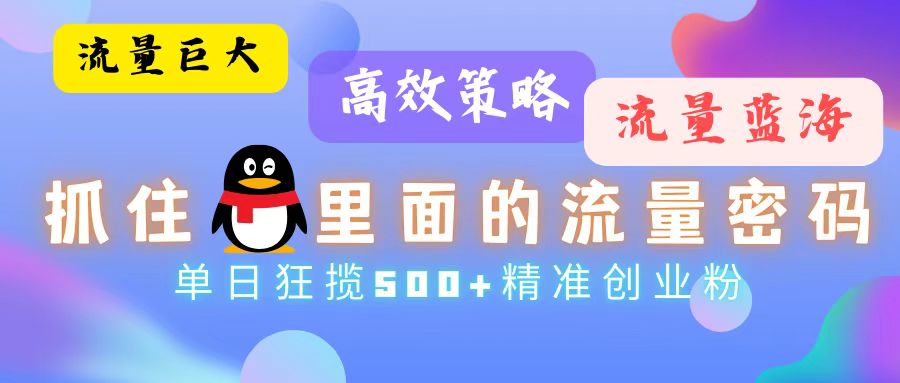 （13068期）流量蓝海，抓住QQ里面的流量密码！高效策略，单日狂揽500+精准创业粉-乐优网创